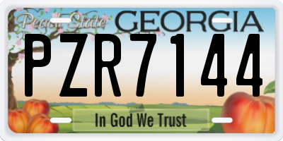 GA license plate PZR7144
