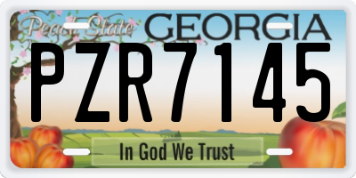 GA license plate PZR7145