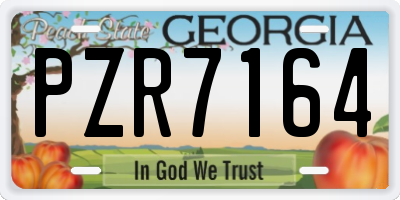 GA license plate PZR7164