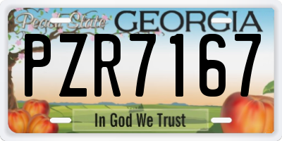 GA license plate PZR7167