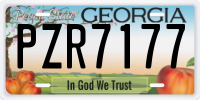GA license plate PZR7177