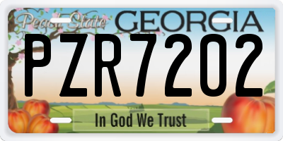 GA license plate PZR7202