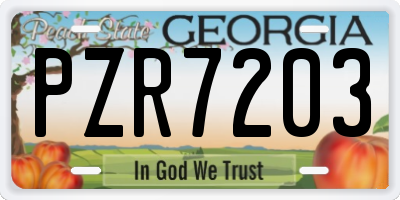 GA license plate PZR7203