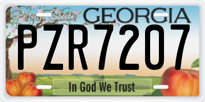 GA license plate PZR7207