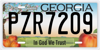GA license plate PZR7209