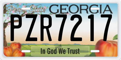 GA license plate PZR7217