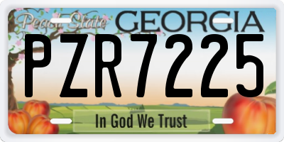 GA license plate PZR7225