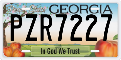 GA license plate PZR7227