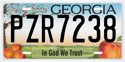 GA license plate PZR7238