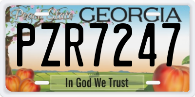 GA license plate PZR7247