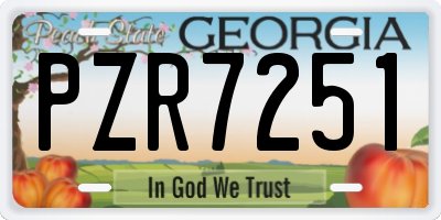 GA license plate PZR7251