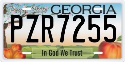 GA license plate PZR7255