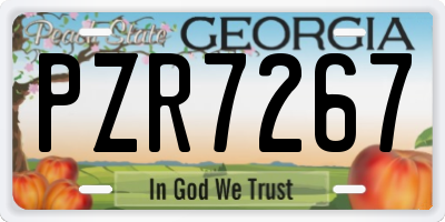 GA license plate PZR7267