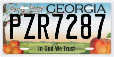 GA license plate PZR7287