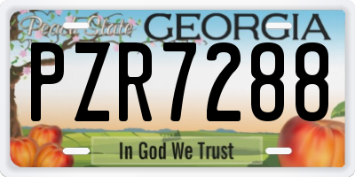 GA license plate PZR7288