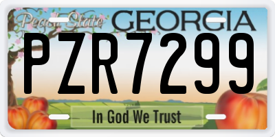 GA license plate PZR7299