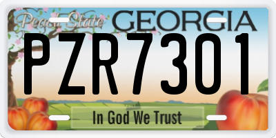 GA license plate PZR7301