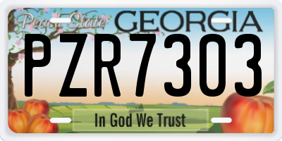 GA license plate PZR7303