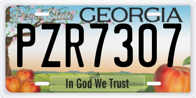 GA license plate PZR7307