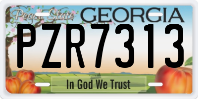 GA license plate PZR7313