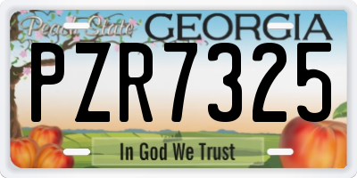 GA license plate PZR7325