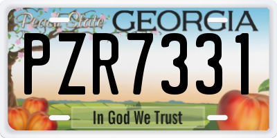 GA license plate PZR7331