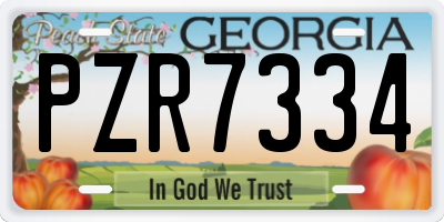GA license plate PZR7334