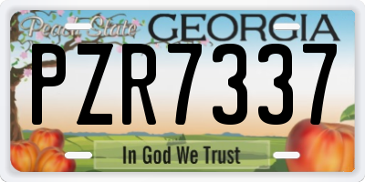 GA license plate PZR7337