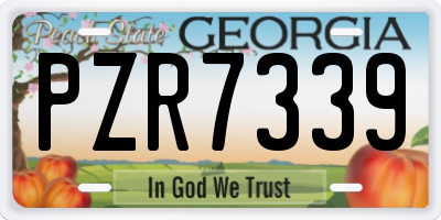 GA license plate PZR7339