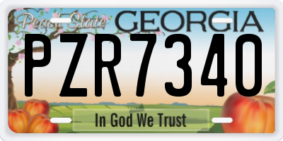 GA license plate PZR7340