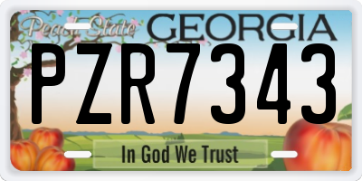 GA license plate PZR7343