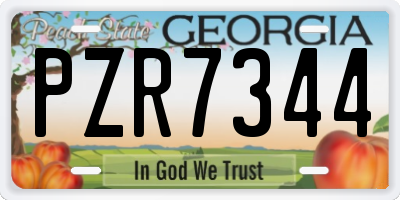 GA license plate PZR7344