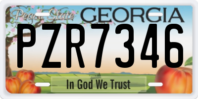 GA license plate PZR7346