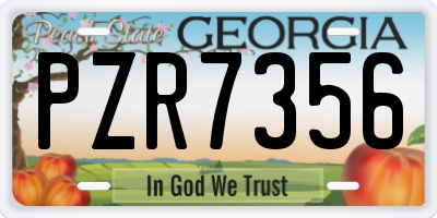 GA license plate PZR7356