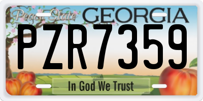 GA license plate PZR7359
