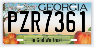 GA license plate PZR7361