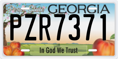 GA license plate PZR7371