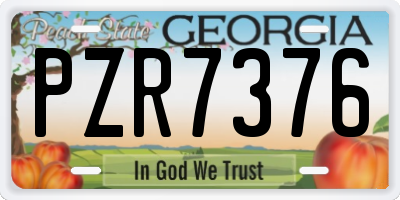 GA license plate PZR7376