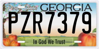 GA license plate PZR7379