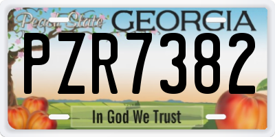 GA license plate PZR7382
