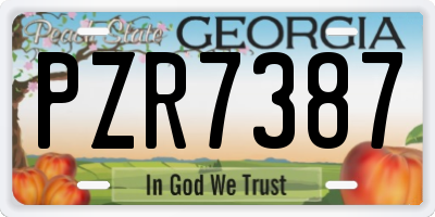 GA license plate PZR7387