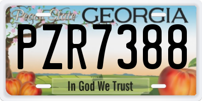 GA license plate PZR7388