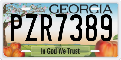 GA license plate PZR7389