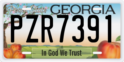 GA license plate PZR7391