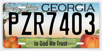 GA license plate PZR7403