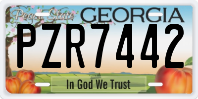 GA license plate PZR7442