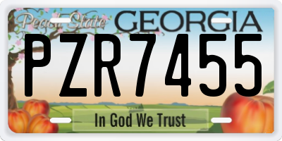 GA license plate PZR7455