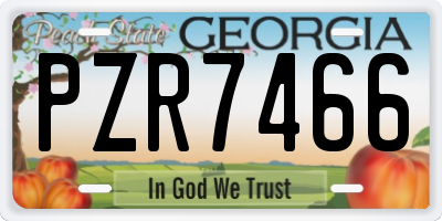 GA license plate PZR7466