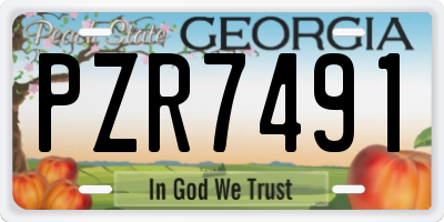 GA license plate PZR7491