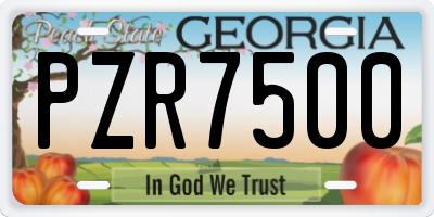 GA license plate PZR7500